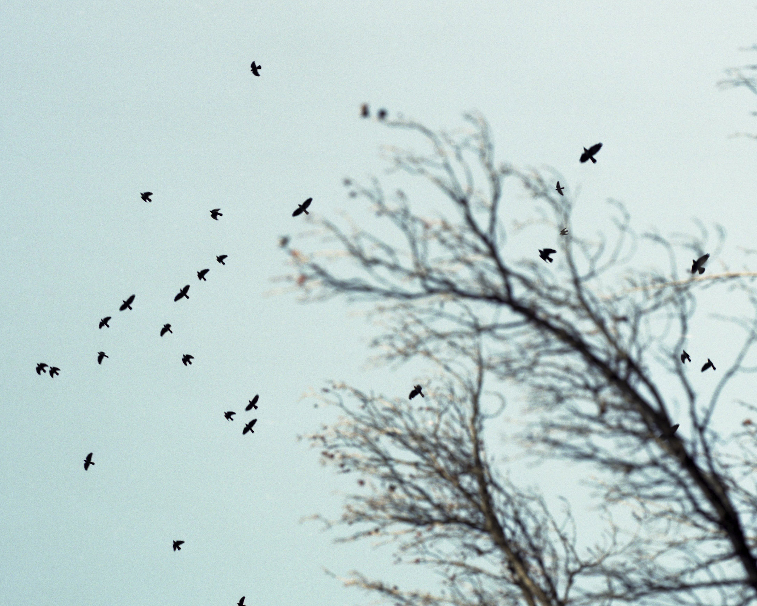 © Arianna Arcara