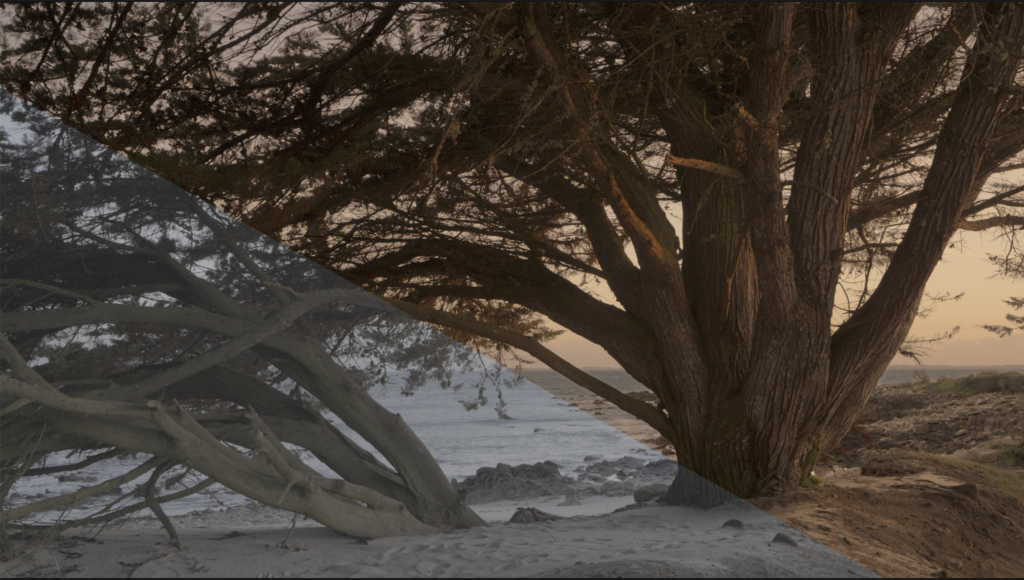 WORKSHOP VIDEOMAKING – COLOR CORRECTION & COLOR GRADING